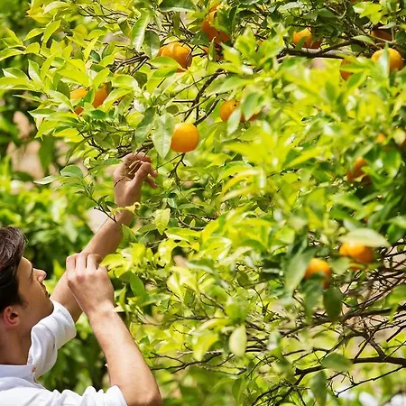 Ξενοδοχείο με διαμερίσματα Sanidiamonds 4*