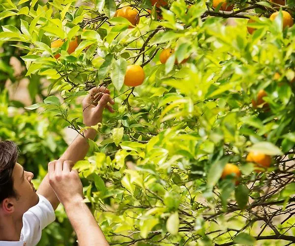 Apart-hotel Sanidiamonds 4*